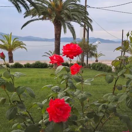 Hotel Elena