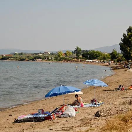 Hotel Elena Arkitsa